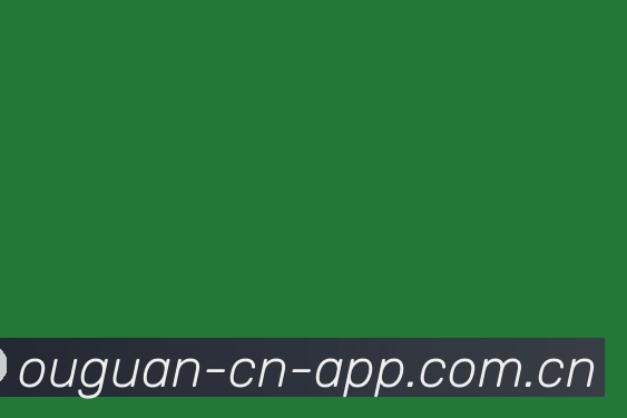 关于欧冠门票怎么买
