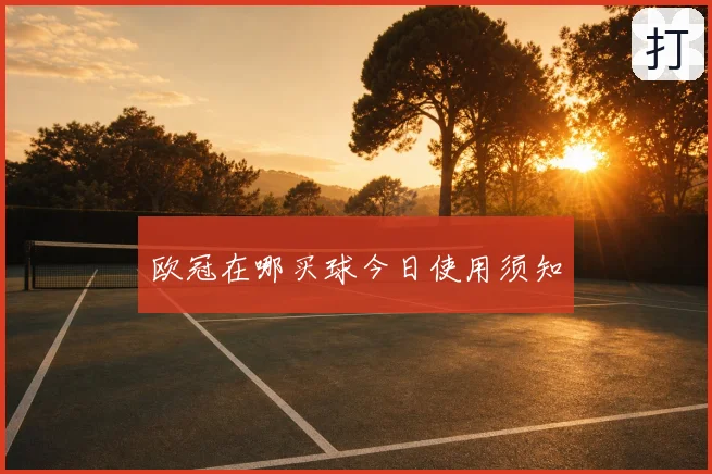 欧冠在哪买球今日使用须知