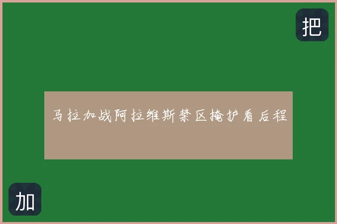 马拉加战阿拉维斯禁区掩护看后程